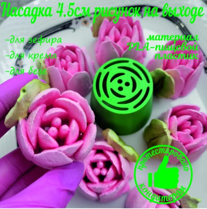 Тюльпан 2XL №5