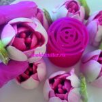 Тюльпан 2XL №5